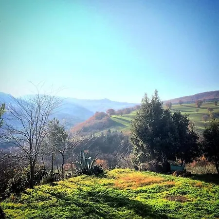 Villa La Grande Quercia *