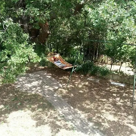 La Grande Quercia Tricarico